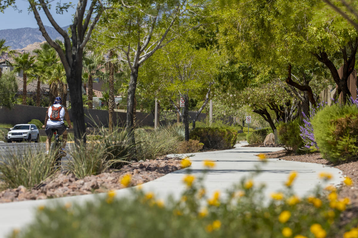A cyclist moves up Desert Foothills Drive an urban canopy of well planted trees and shrubs desi ...