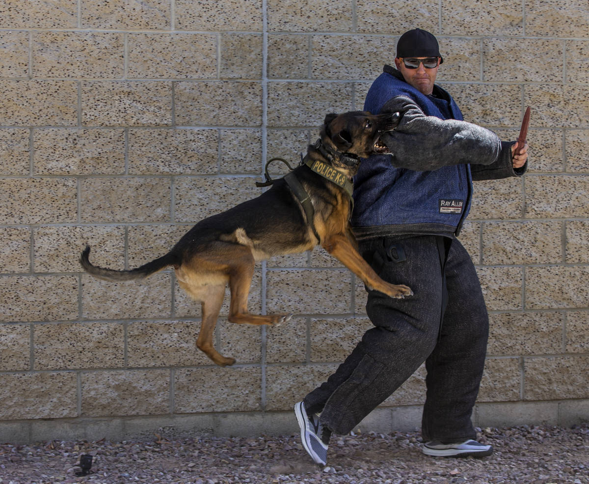 Las Vegas Metropolitan Police officer Shad Rollo as a "bad guy with a knife" is attac ...