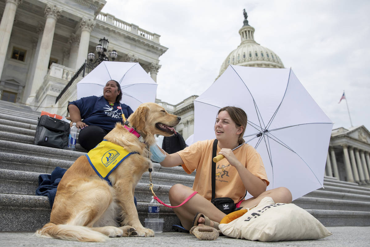 Casey Long and Adrienne, a service dog in training, sit on the steps of Capitol Hill in Washing ...