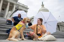 Casey Long and Adrienne, a service dog in training, sit on the steps of Capitol Hill in Washing ...