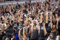 Fans do Òthe waveÓ during the third quarter of the Raiders home opening pre-season NF ...