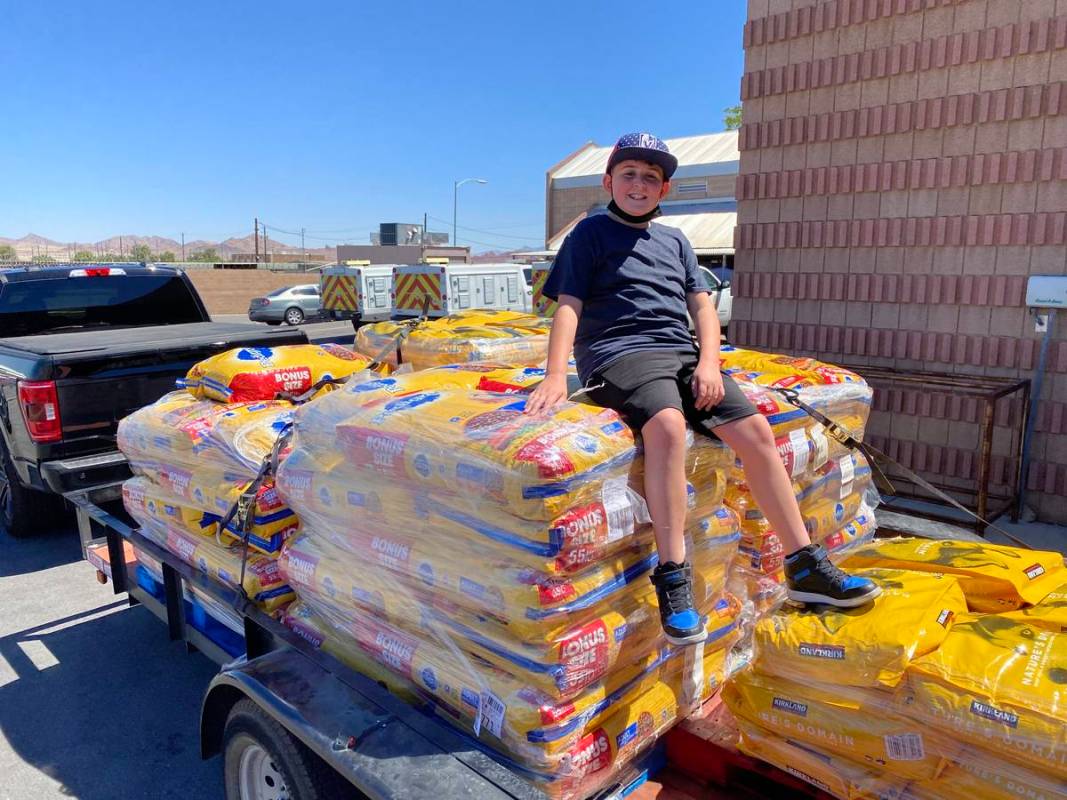 Roman Pandullo collected 4,300 pounds of dog food to donate to the Henderson Animal Shelter. Ca ...