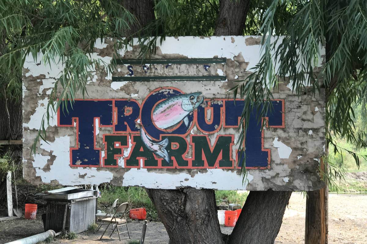 The Trout Farm has been operation since 1912 and provides new anglers with a place to learn bot ...