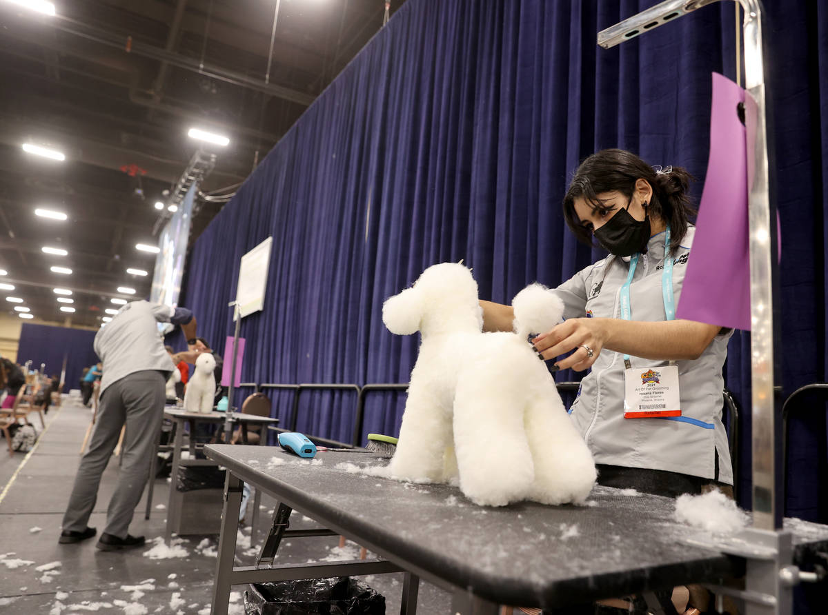 Roxana Flores from Art of Pet Grooming in Phoenix competes in All Breed Model Dog Challenge dur ...