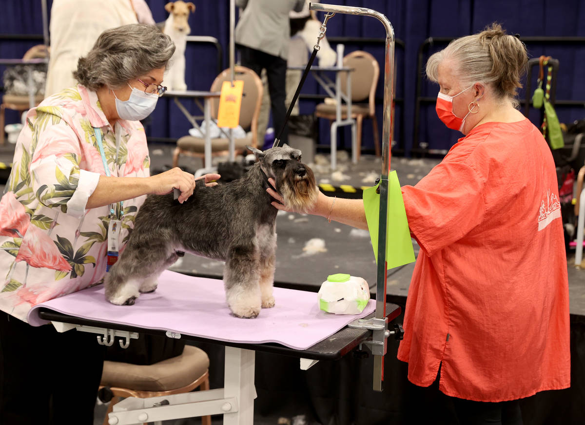 Kris Conner, owner of Dogs by Design in Murray, Utah., right, competes in dog grooming as Teri ...