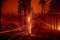 In a long time exposure photo, embers fly from burning trees as the Caldor Fire growing on Morm ...