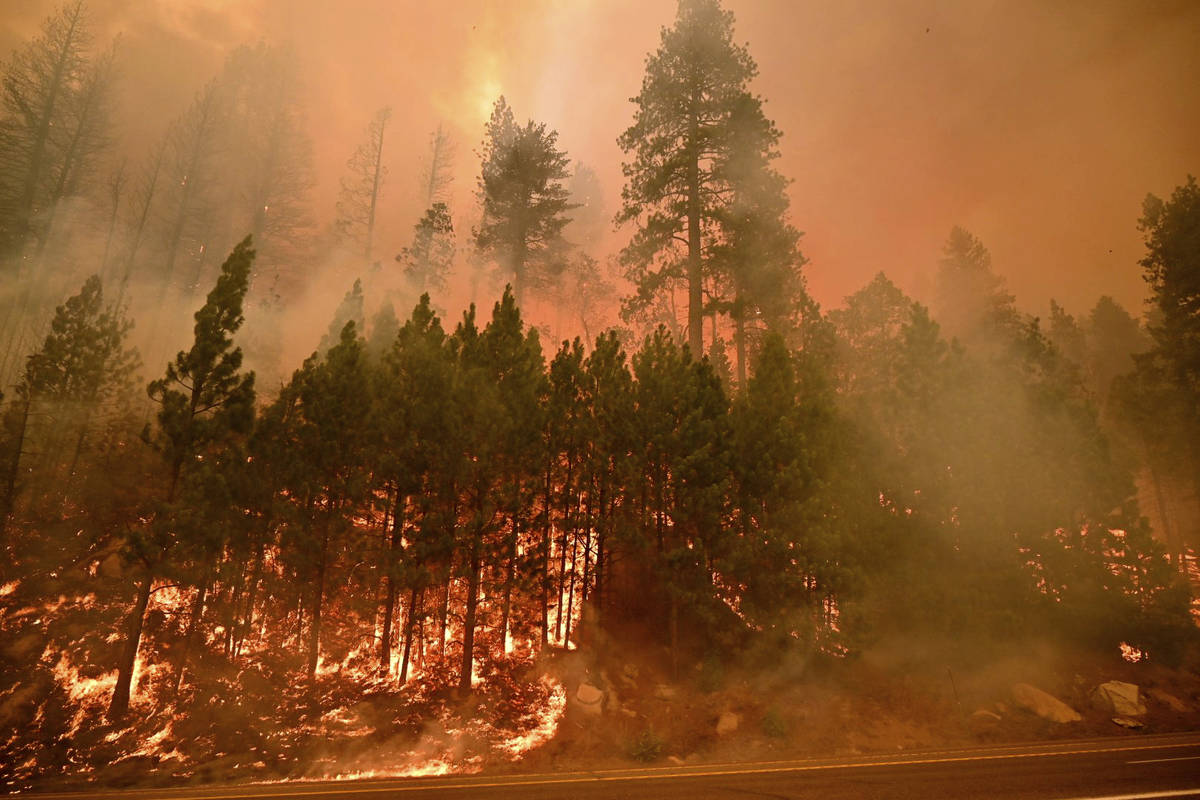 The Caldor Fire burns on both sides of Highway 50 about 10 miles east of Kyburz, Calif., on Thu ...