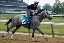 Essential Quality trains ahead of the 153rd running of the Belmont Stakes horse race in Elmont, ...
