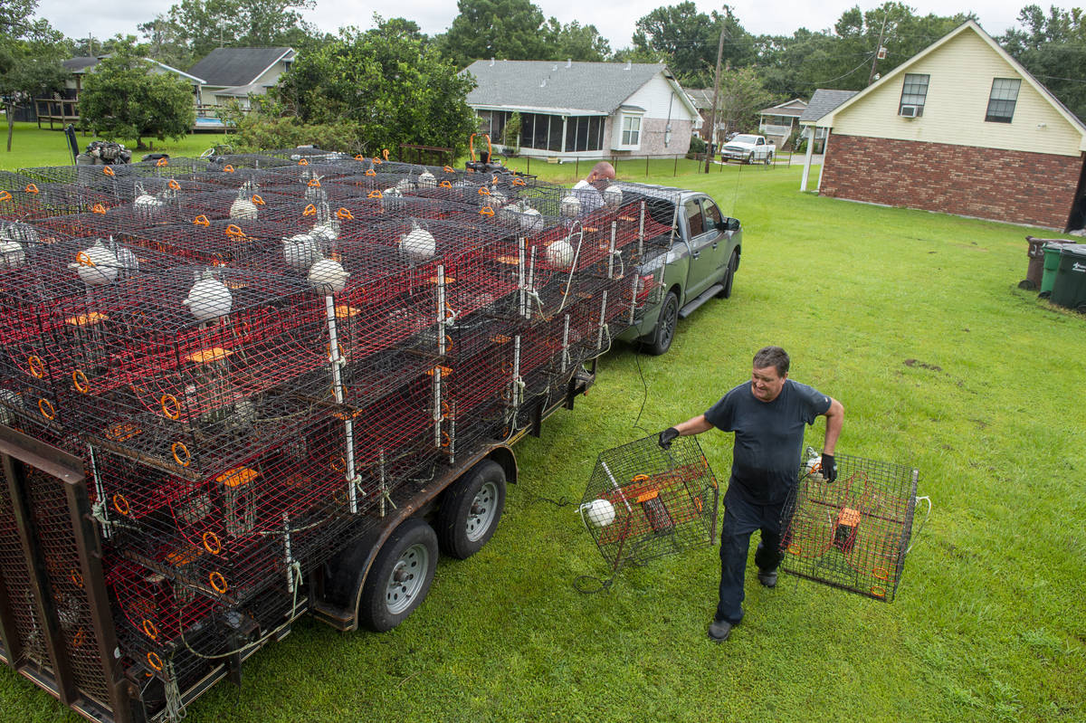 Ray Guenther, 55, bottom right, helps his brother, John, 56, unload about 400 crab traps that h ...