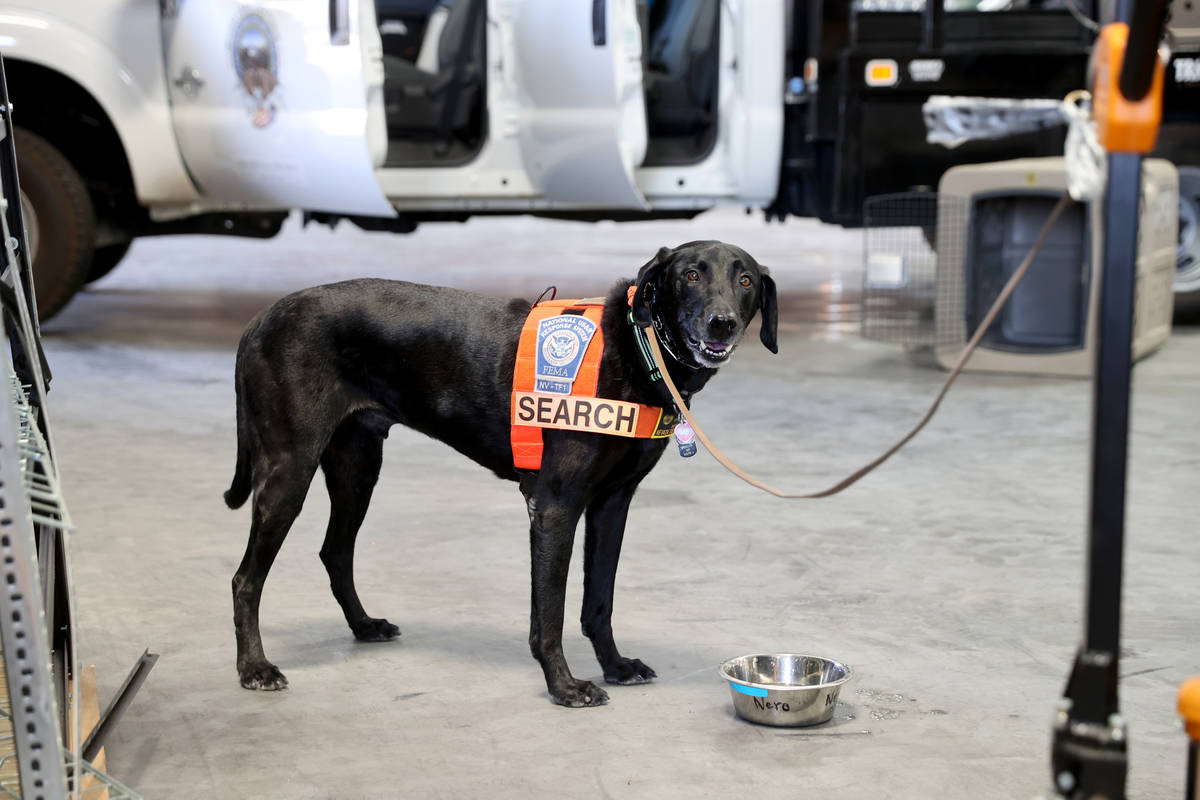 Members of the FEMA Nevada Task Force 1 Urban Search & Rescue team members, including live ...