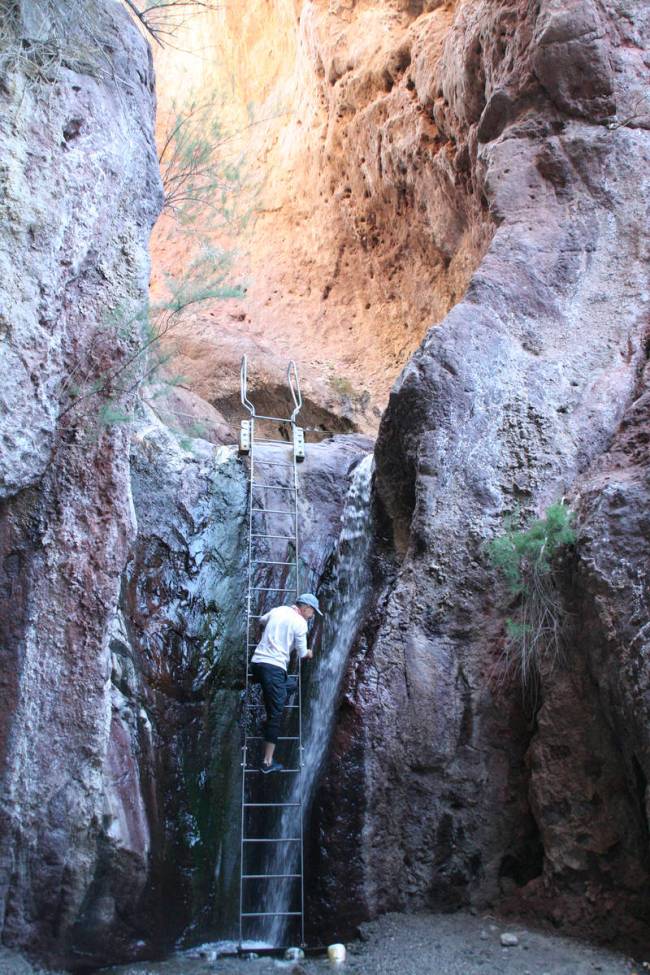 Dennis Boulton of Las Vegas climbs the 20-foot ladder to reach the Arizona Hot Springs. (Debora ...