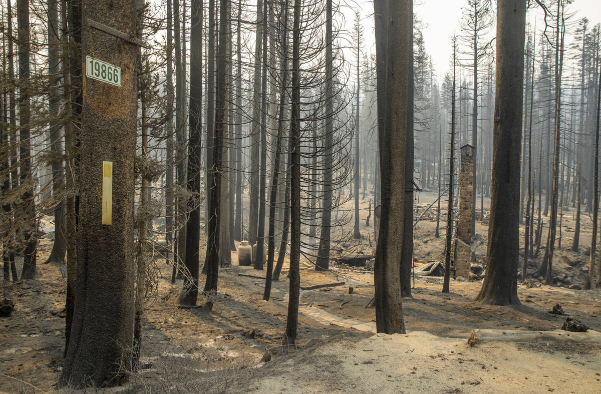Nothing but chimneys stand on properties burned recently from the Caldor Fire along Califo ...
