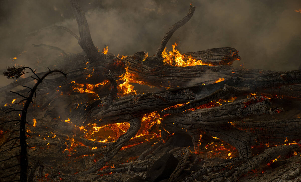 Flames burn in the trees on a ridge above Caples Lake as the Caldor Fire continues to burn on T ...