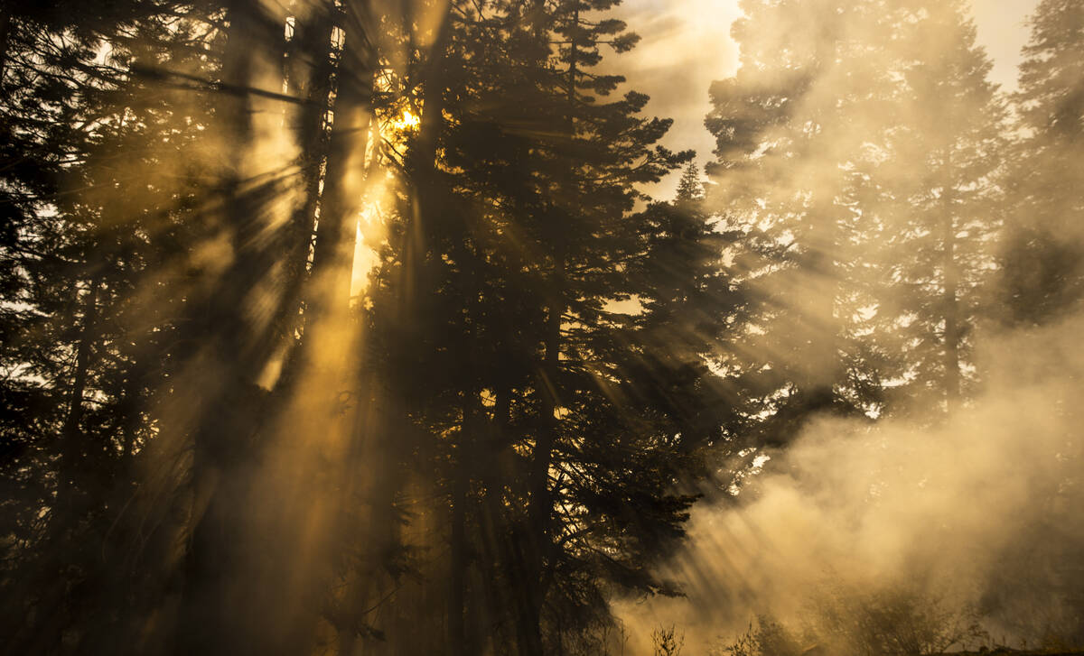 Sunlight is filtered through smoke and trees as the Caldor Fire continues to burn on Thursday, ...
