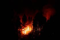 FILE - In this Sept. 3, 2021, file photo, the Caldor Fire consumes trees in Eldorado National F ...
