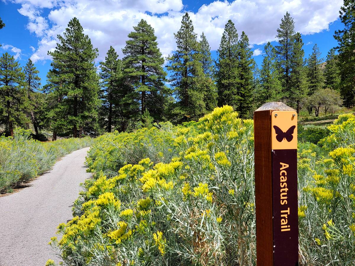 This trail marker is near the Fletcher Canyon parking lot and trail. From there, the trail wind ...