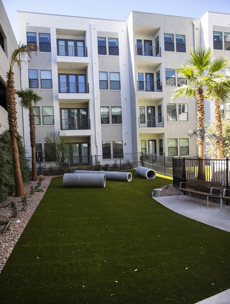 Dog park is seen at Auric Symphony Park, the first luxury multifamily residential community at ...