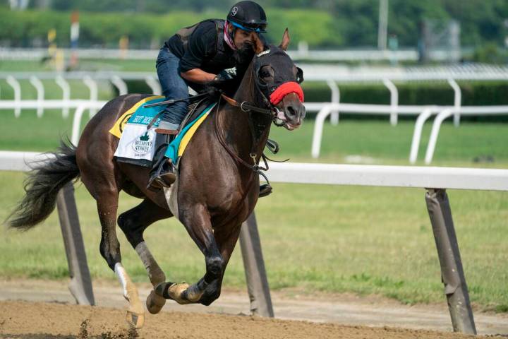 Belmont Stakes entrant Hot Rod Charlie takes a training run on the main track ahead of the 153r ...