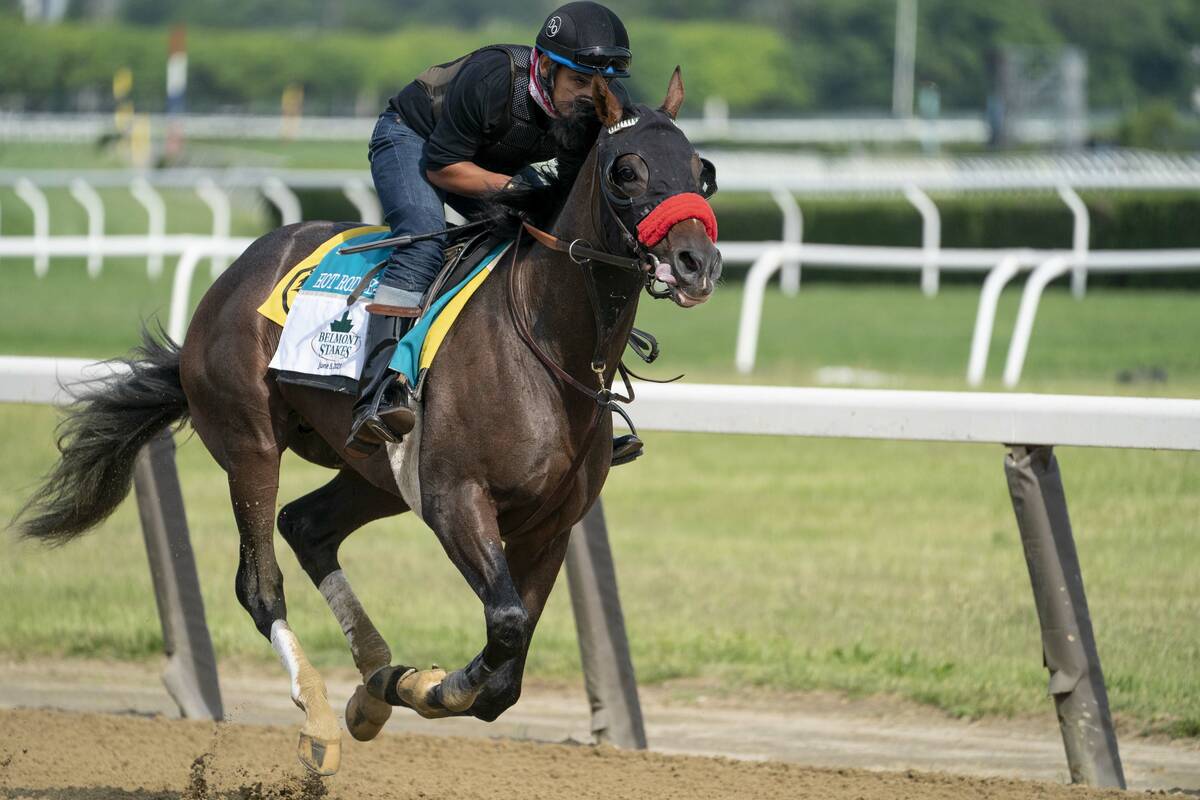 Belmont Stakes entrant Hot Rod Charlie takes a training run on the main track ahead of the 153r ...