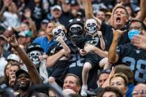 Raiders fans cheer on the team versus the Miami Dolphins in the first half of their NFL game at ...