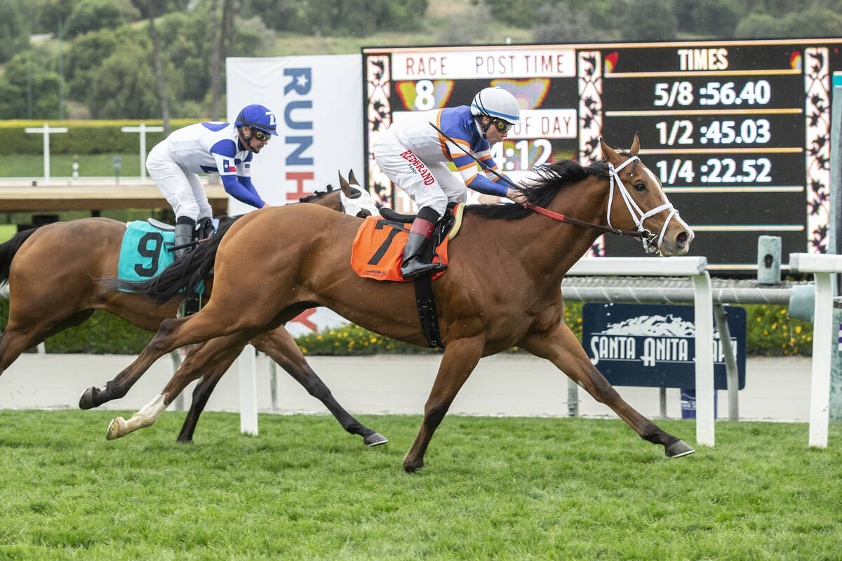 Santa Anita Workouts Equibase EOUA Blog