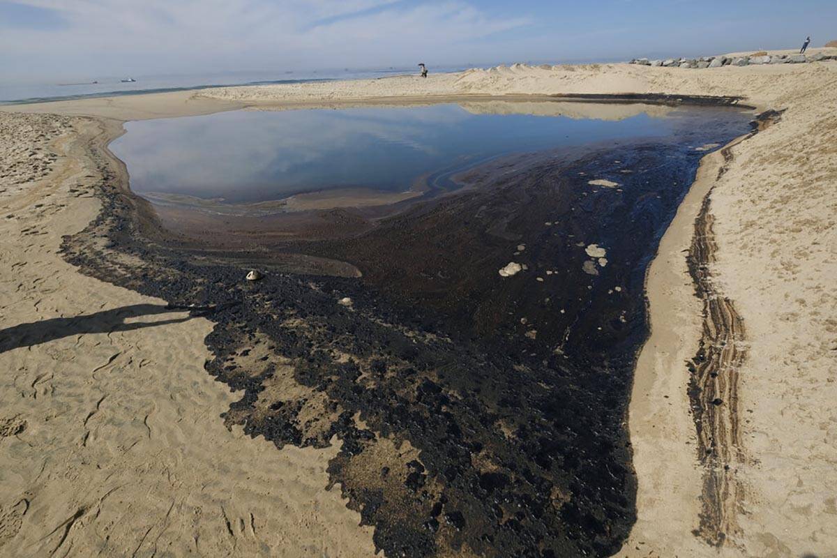 Oil is shown washed up in Huntington Beach, Calif., Sunday, Oct. 3, 2021. One of the largest oi ...