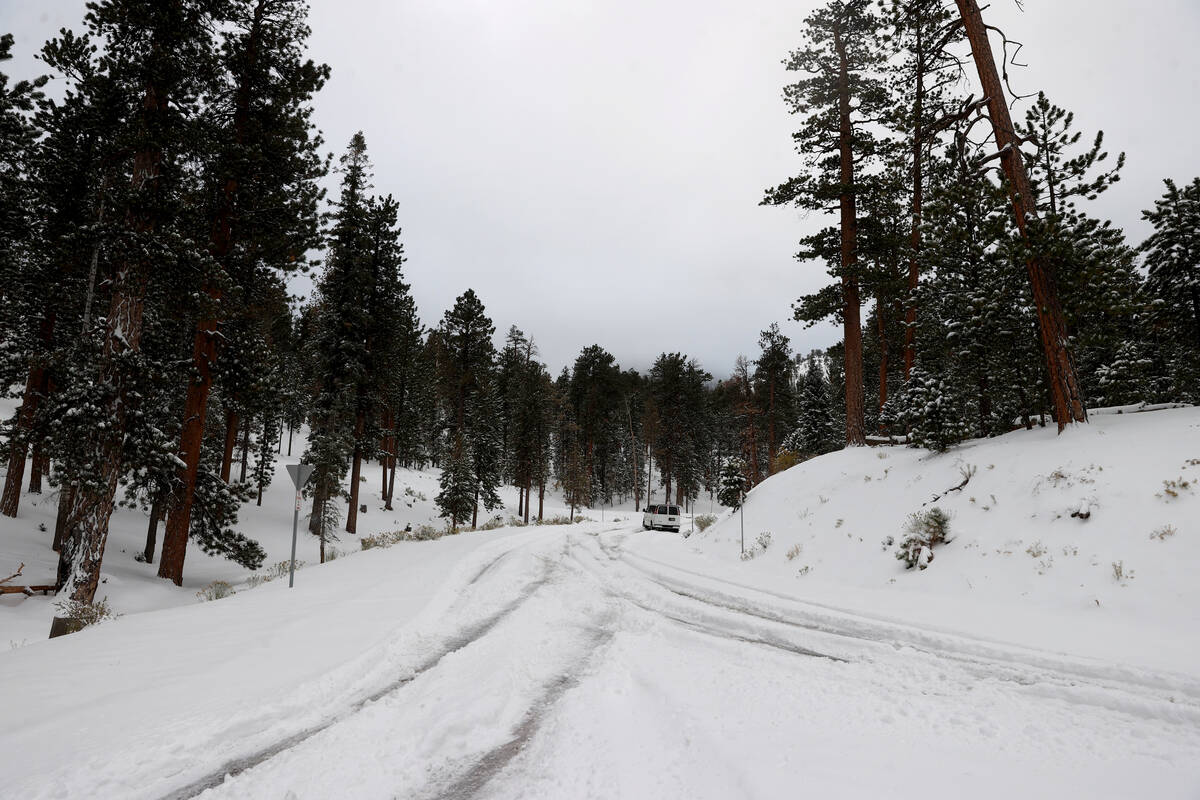 Las Vegas Weather Snow on Mount Charleston Las Vegas Weather Local