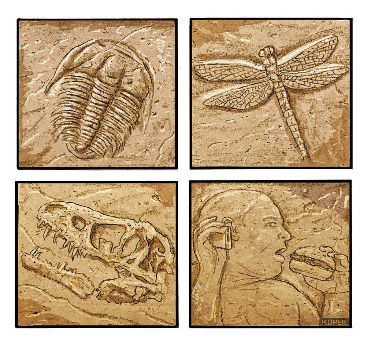 Peter Kuper PoliticalCartoons.com