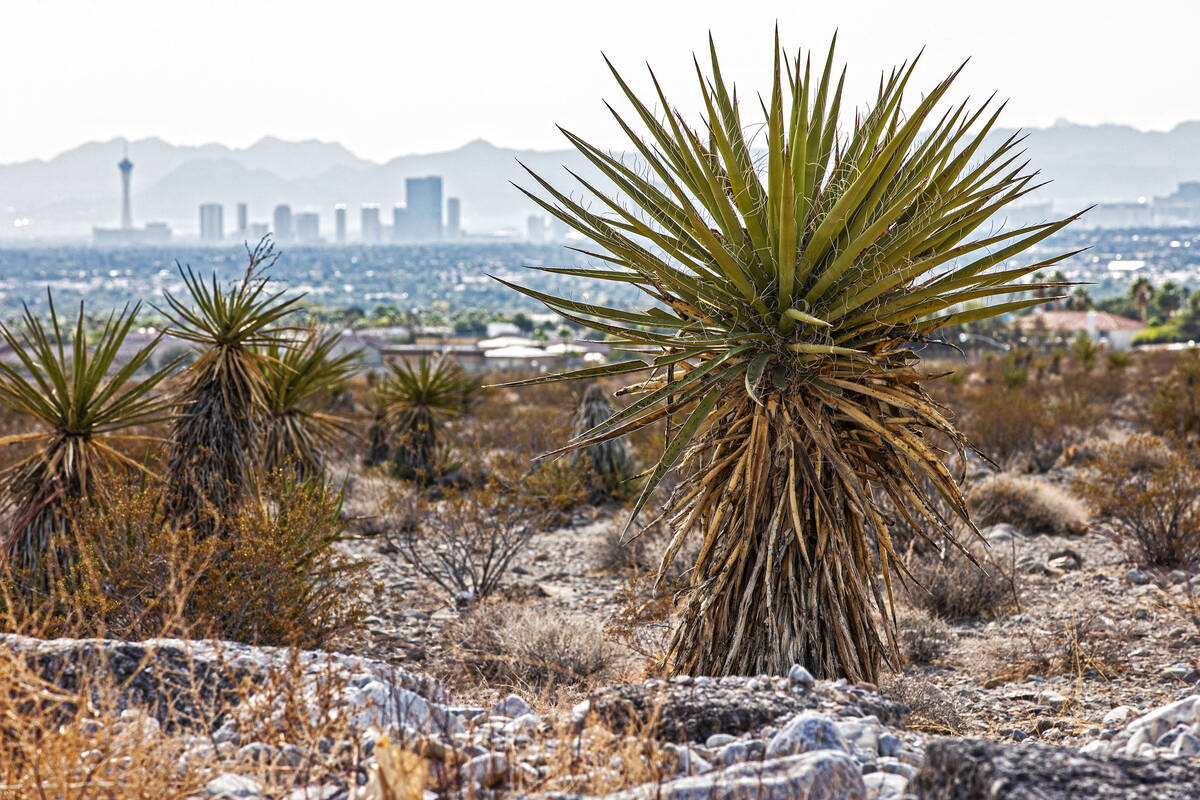 This Oct. 9, 2021, file photo shows the Las Vegas skyline from a vacant field in Las Vegas. On ...