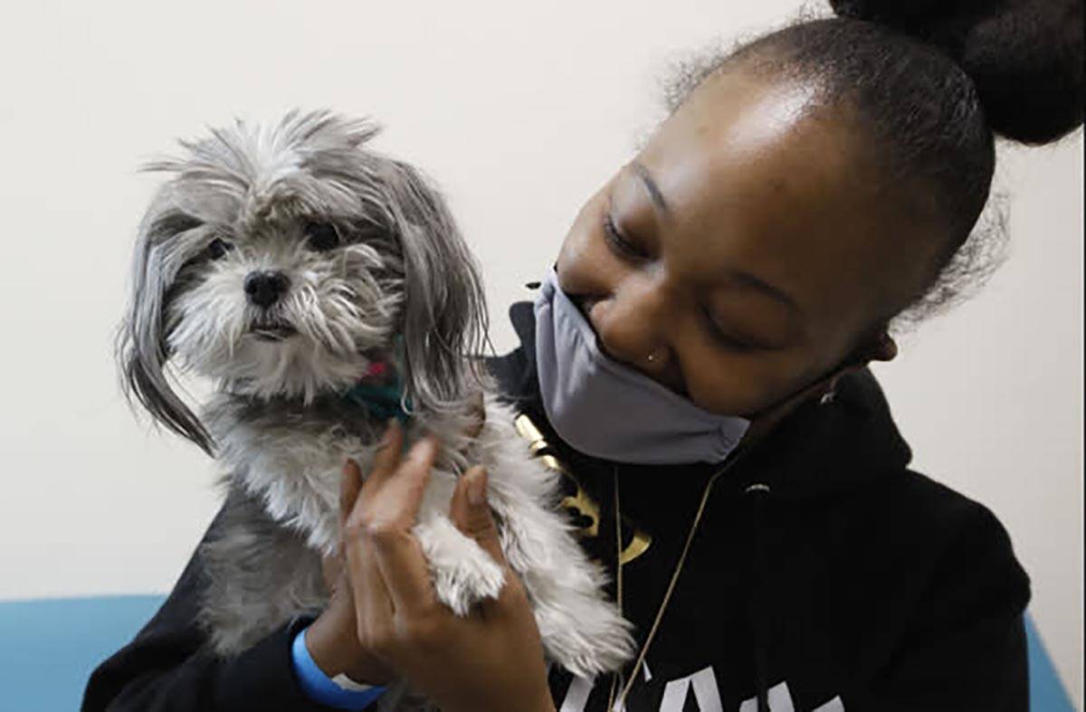 All fees for adopting pets are being waived at The Animal Foundation through Sunday, Oct. 24, 2 ...