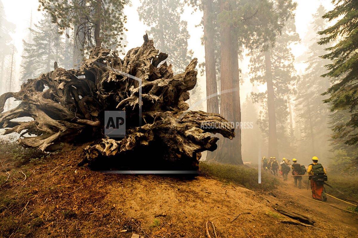 In this Sunday, Sept. 19, 2021, file photo, firefighters battle the Windy Fire as it burns in t ...