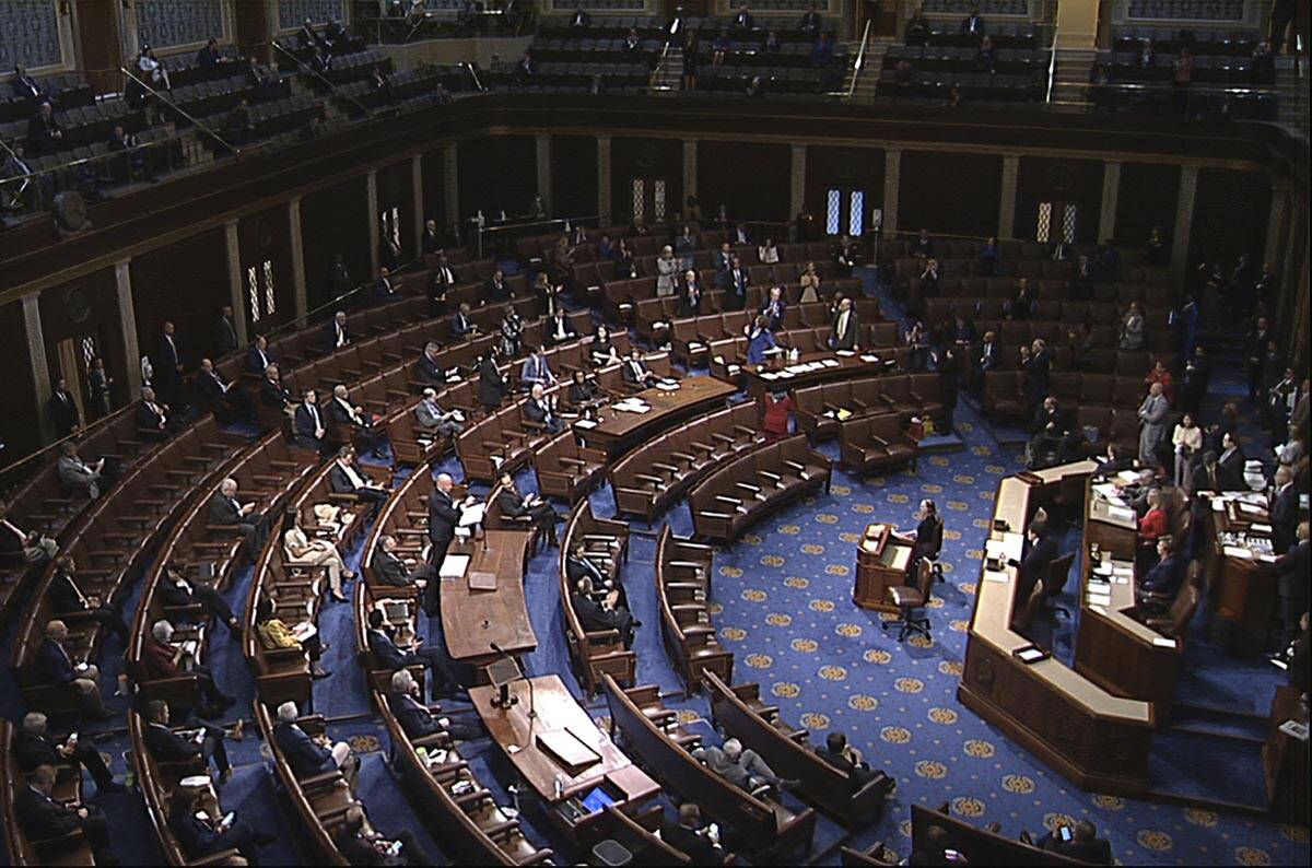 The House of Representatives. (House Television via AP)
