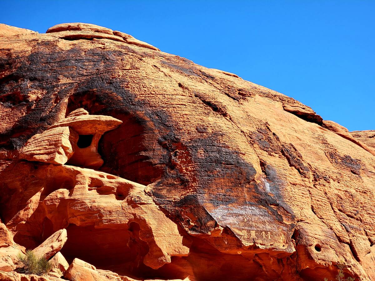 A benefit of living in the desert Southwest: using your imagination to find faces, animals and ...