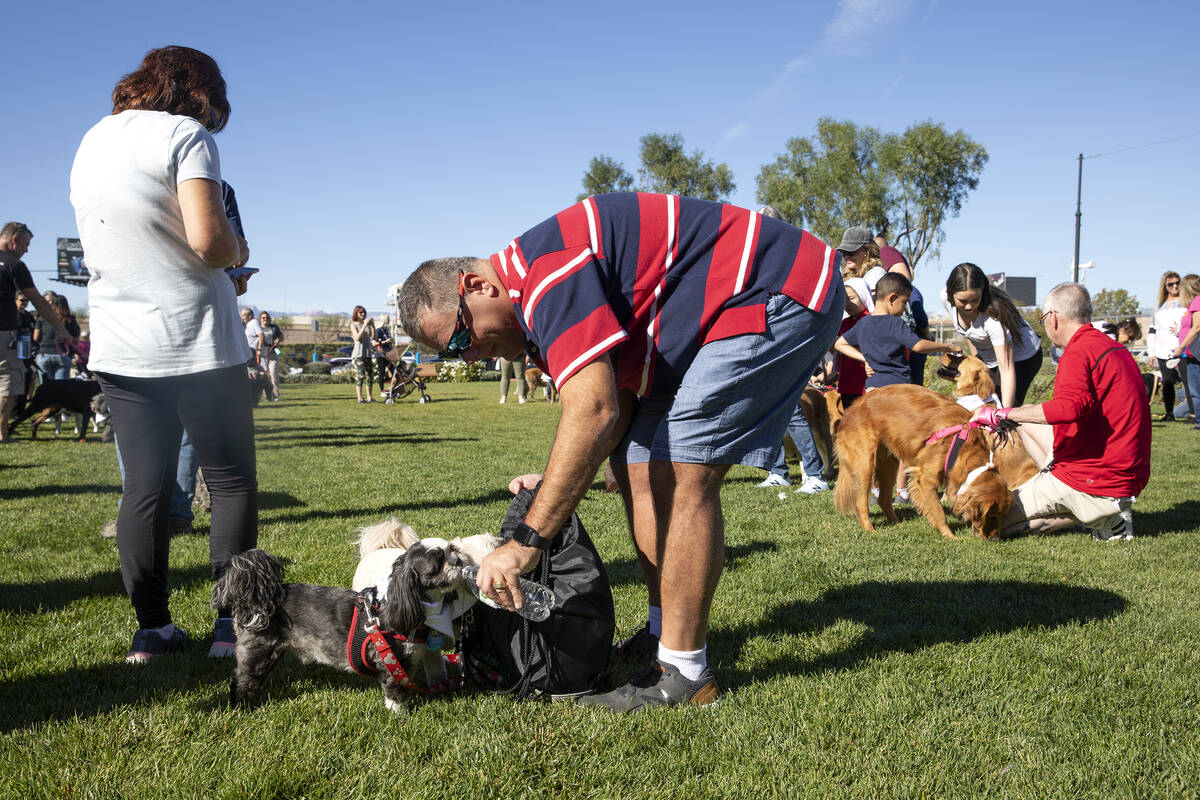 Michael Lanzilotta hydrates his shitzus Armani and Gucci during a walk in honor of Tina Tintor ...