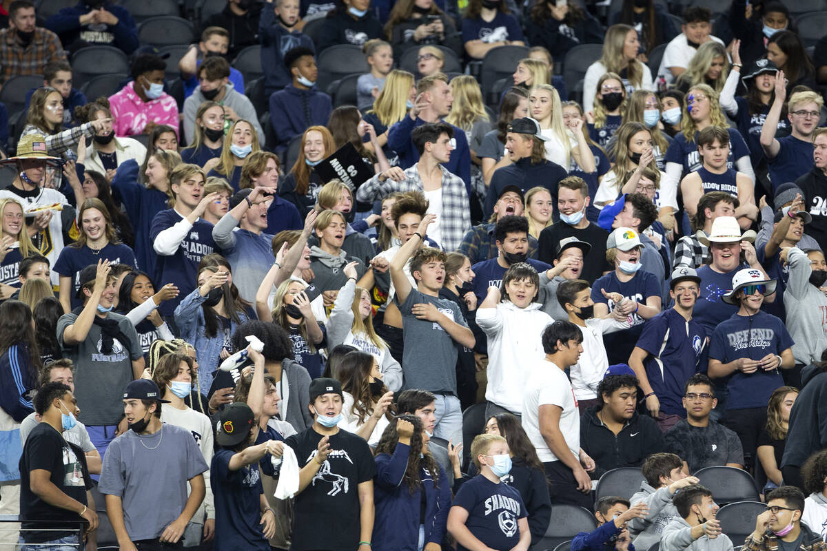 The Shadow Ridge fan section cheers for their team during the Class 4A football state champions ...