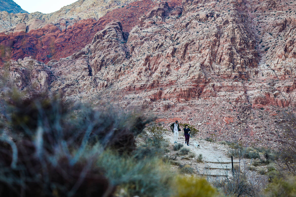 Hikers walk a trail in Calico Basin on the eastern edge of the Red Rock Canyon National Conserv ...