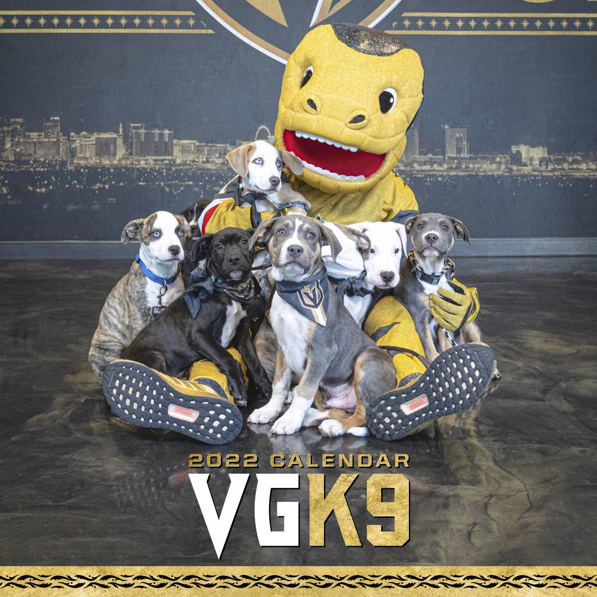 The Golden Knights’ inaugural dog calendar will be available for purchase beginning Friday du ...