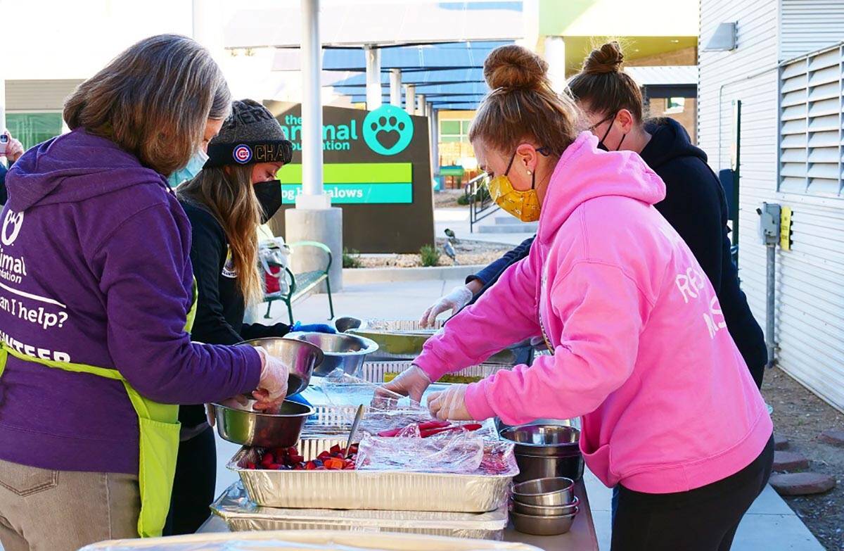 Staffers and volunteers prepare special Thanksgiving meals for all of the dogs at The Animal Fo ...