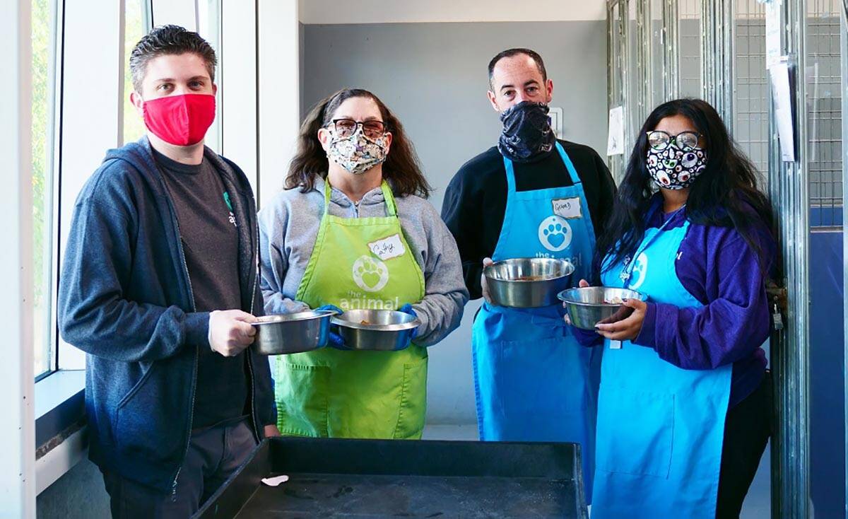 Staffers and volunteers prepare special Thanksgiving meals for all of the dogs at The Animal Fo ...