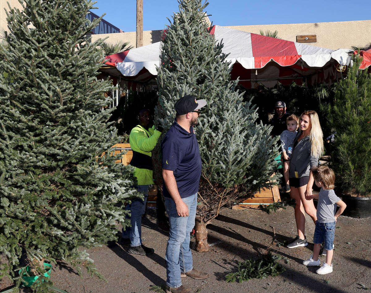 Mike McConnell displays Christmas trees for Chelsea Samson and her sons McCoy, 2, and Sawyer, 3 ...