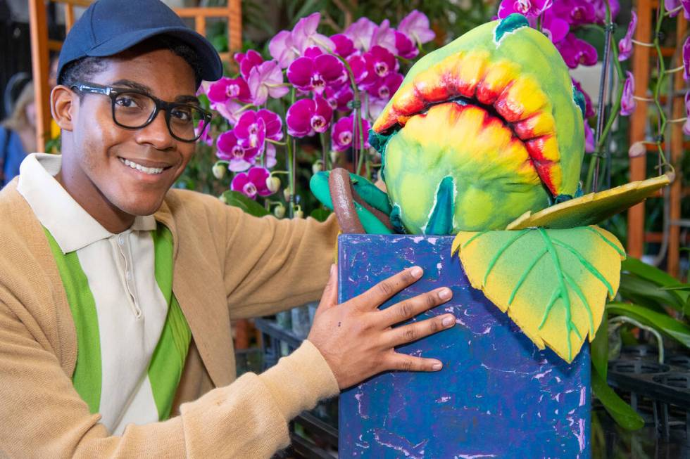 Maurice-Aime Green as Seymour in "Little Shop of Horrors." (UNLV)