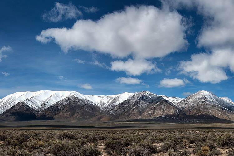 Photo courtesy of Kurt Kuznicki/Friends of Nevada Wilderness