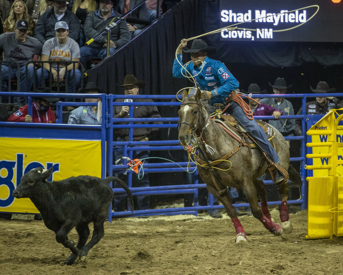 Shad Mayfield of Clovis, N.M., eyes his animal in Tie-Down Roping for first place during the Da ...