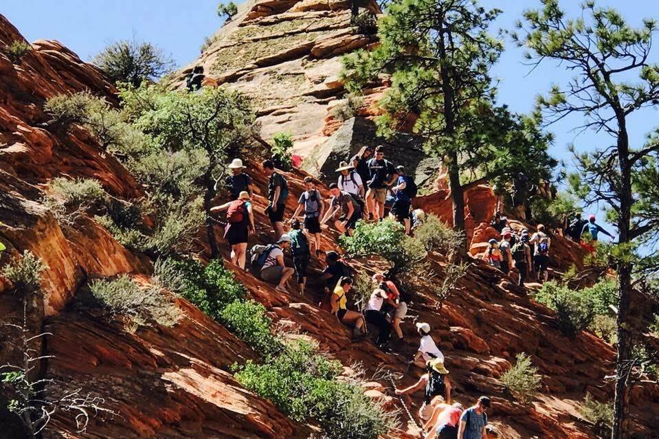 A line of hikers climbs up to Angels Landing at Zion National Park. (Las Vegas Review-Journal)
