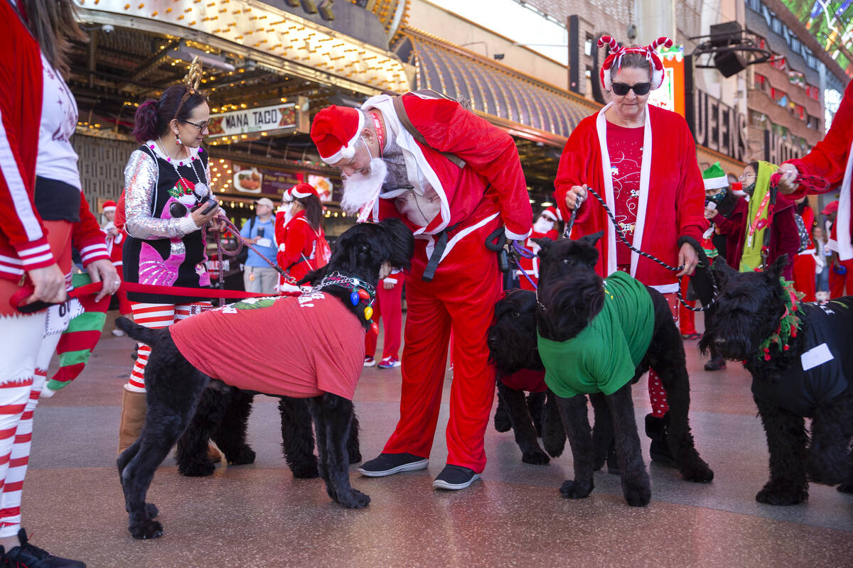 Ron Ischer, center, pets a giant schnauzer at Fremont Street Experience during The Las Vegas Gr ...
