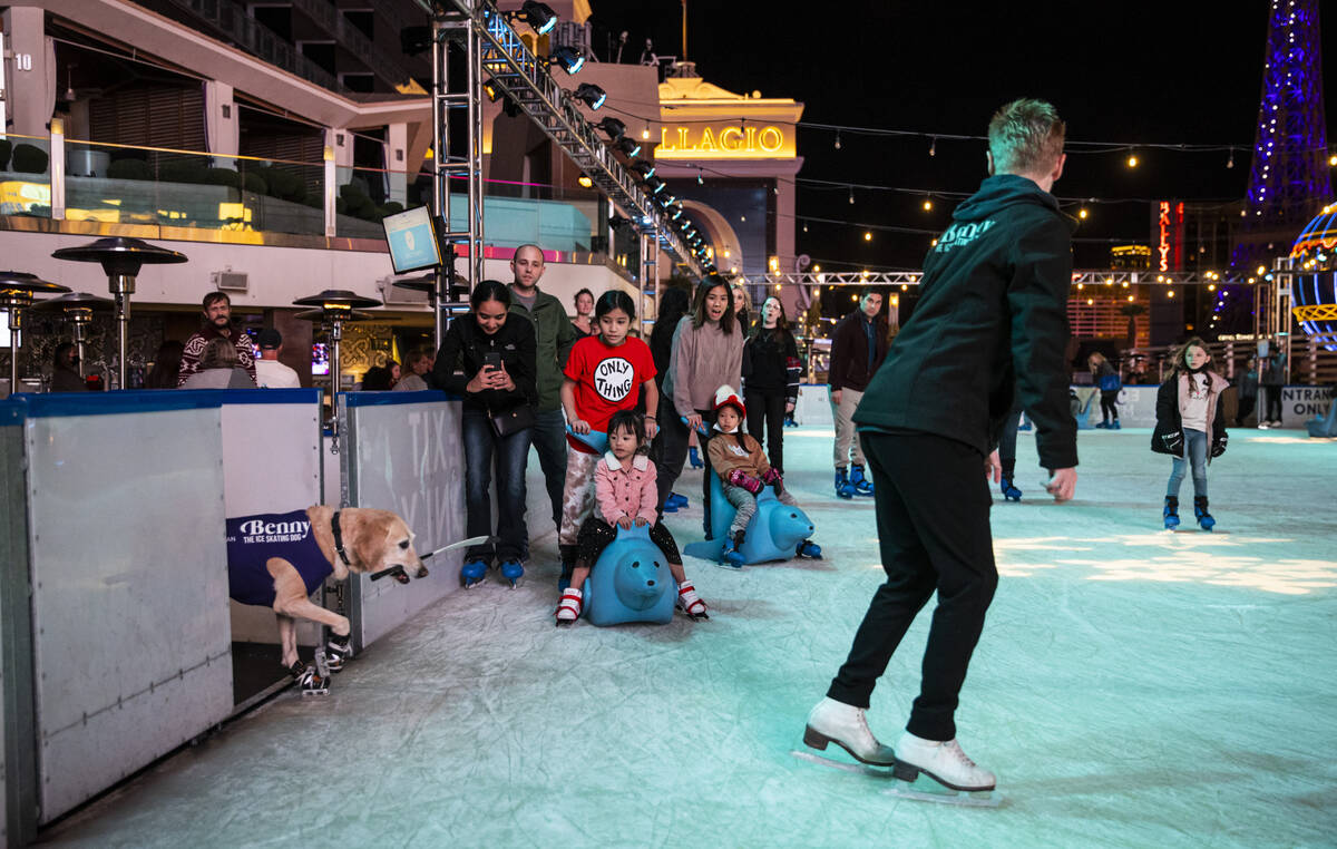 Benny the ice skating dog wins national award Local Las Vegas Local
