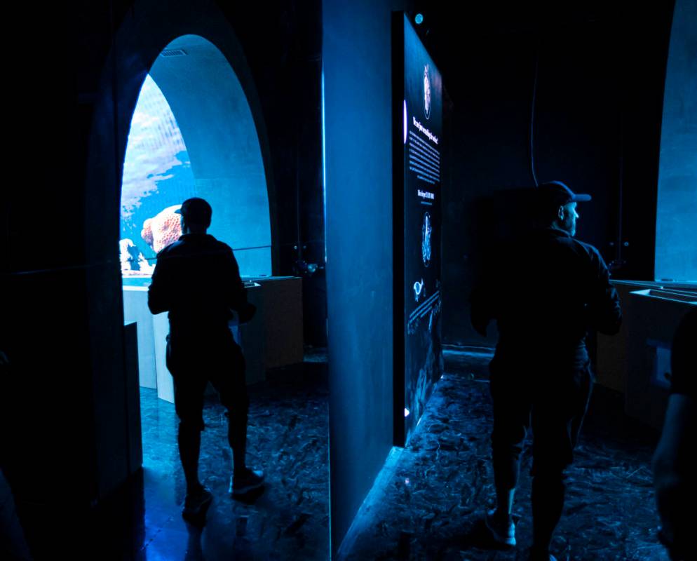 Valentino Vettori, founder of Arcadia Earth, leads a tour through one of the 15 rooms at the i ...