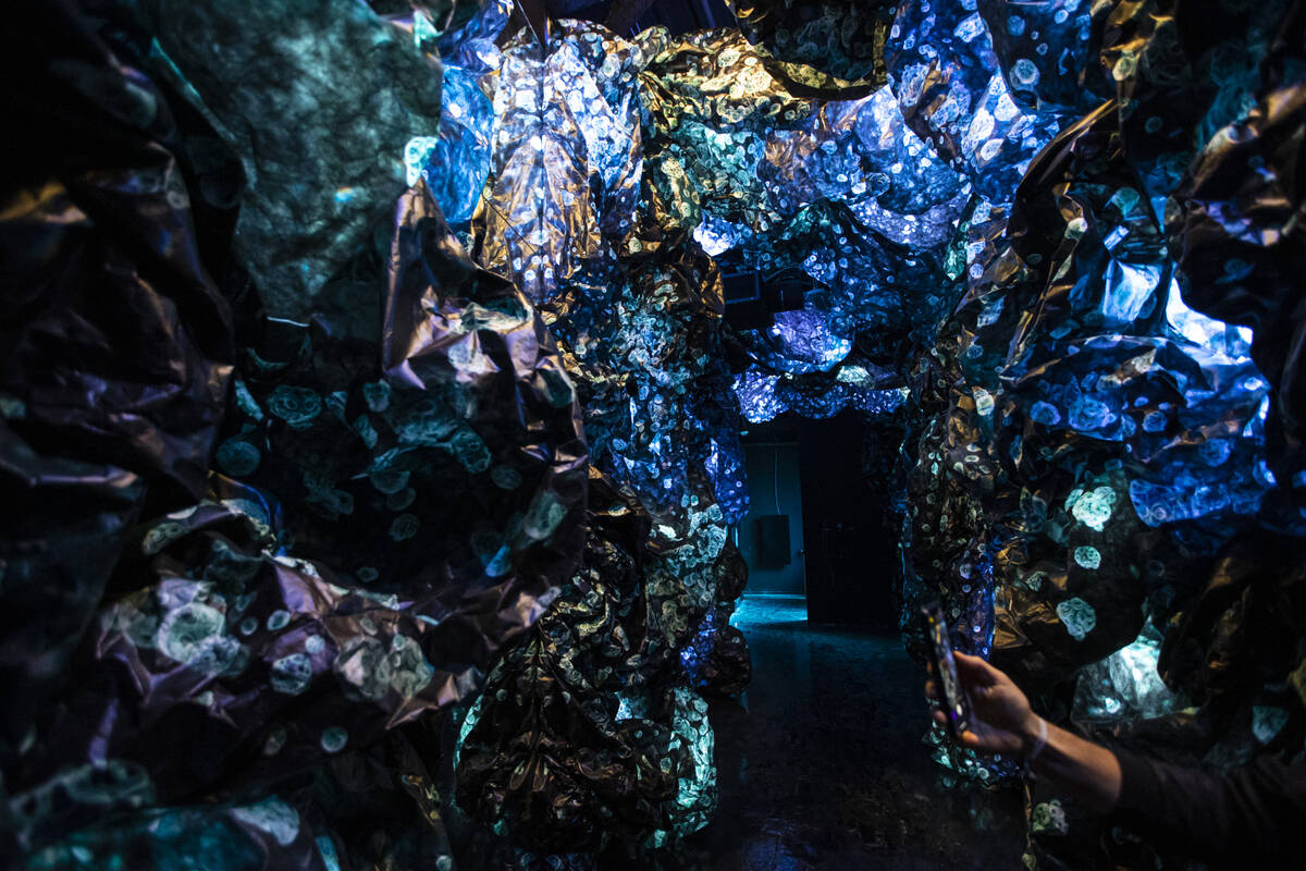 Valentino Vettori, founder of Arcadia Earth, holds a phone showing the installation by Charlott ...
