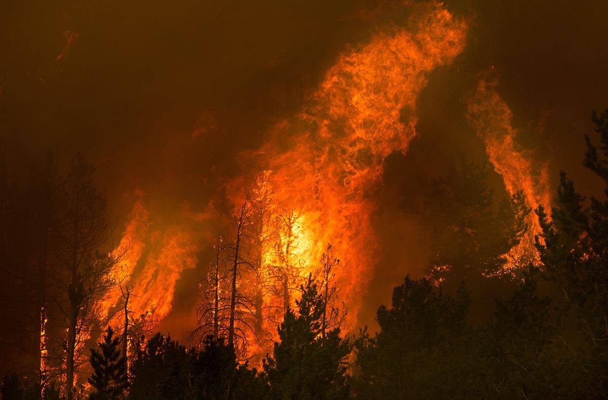 Flames erupt in trees on a nearby ridge above Caples Lake as the Caldor Fire continues to burn ...