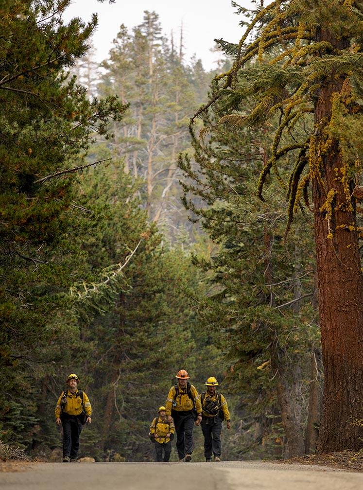 Division of Forestry wildland firefighters hike up to a ridge along SR 88 to look for spot fire ...